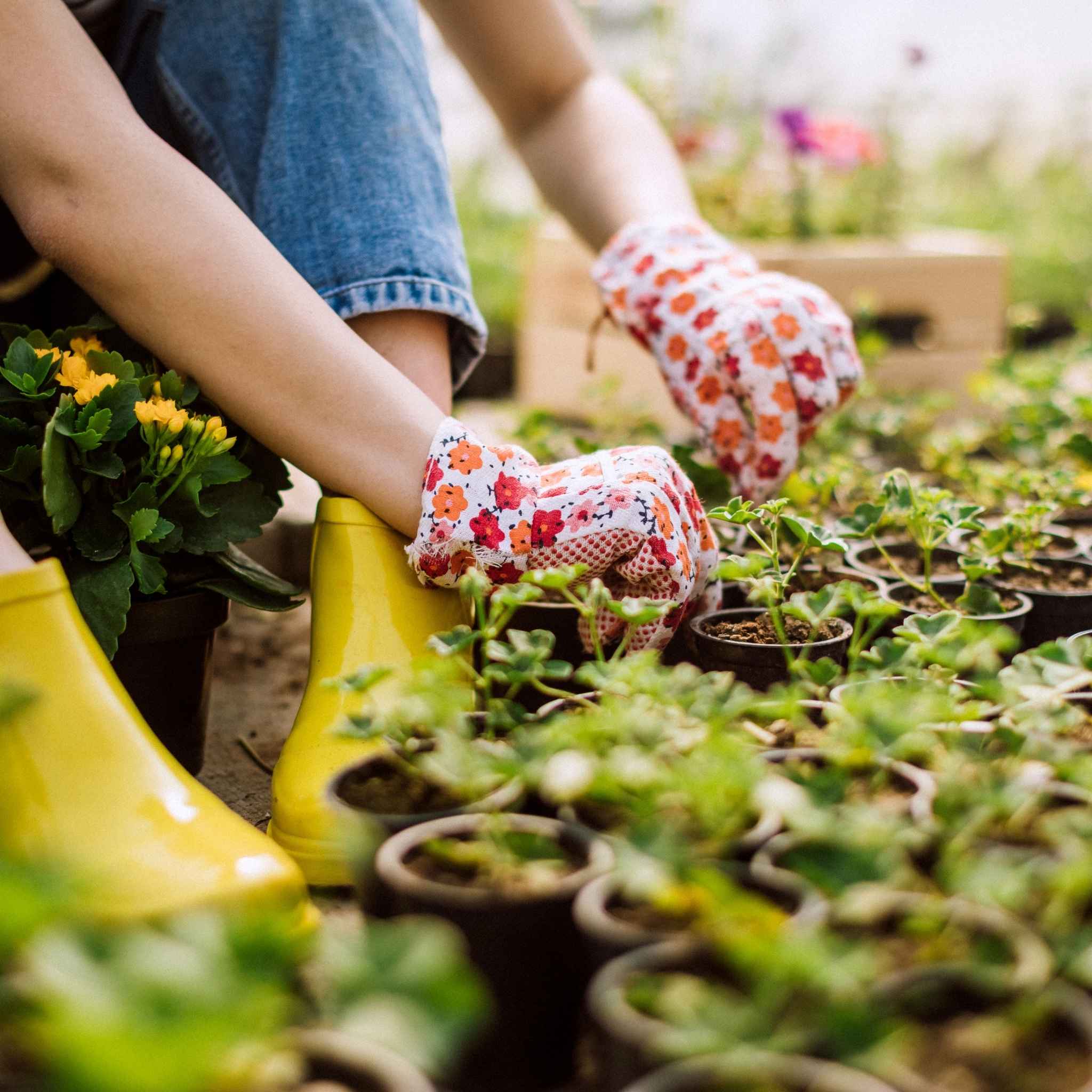 Soluciones para cultivo hortícola enfocadas en la regeneración de suelos y la mejora de la fertilidad agrícola