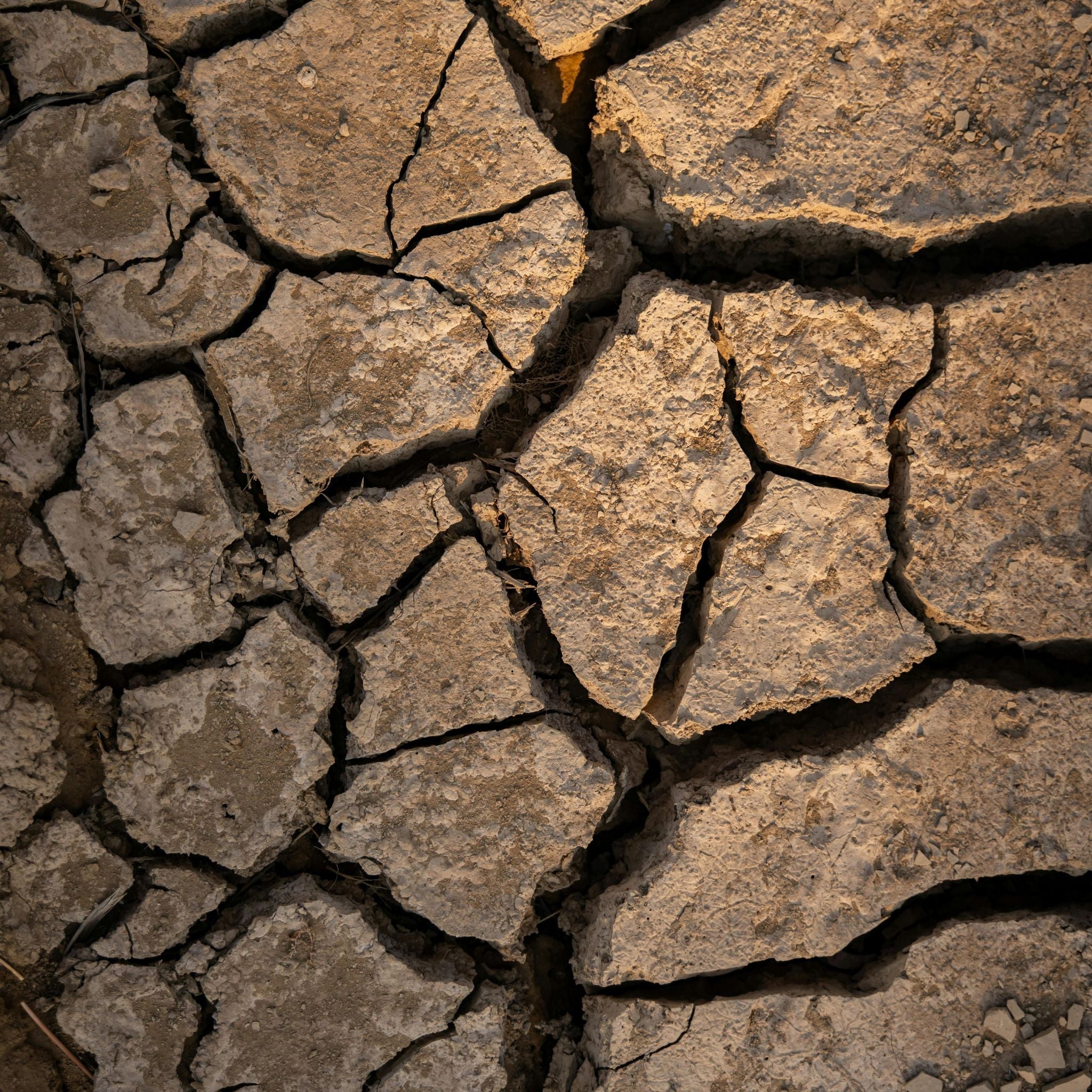 Soluciones para la compactación del suelo orientadas a mejorar la estructura y la salud del suelo agrícola
