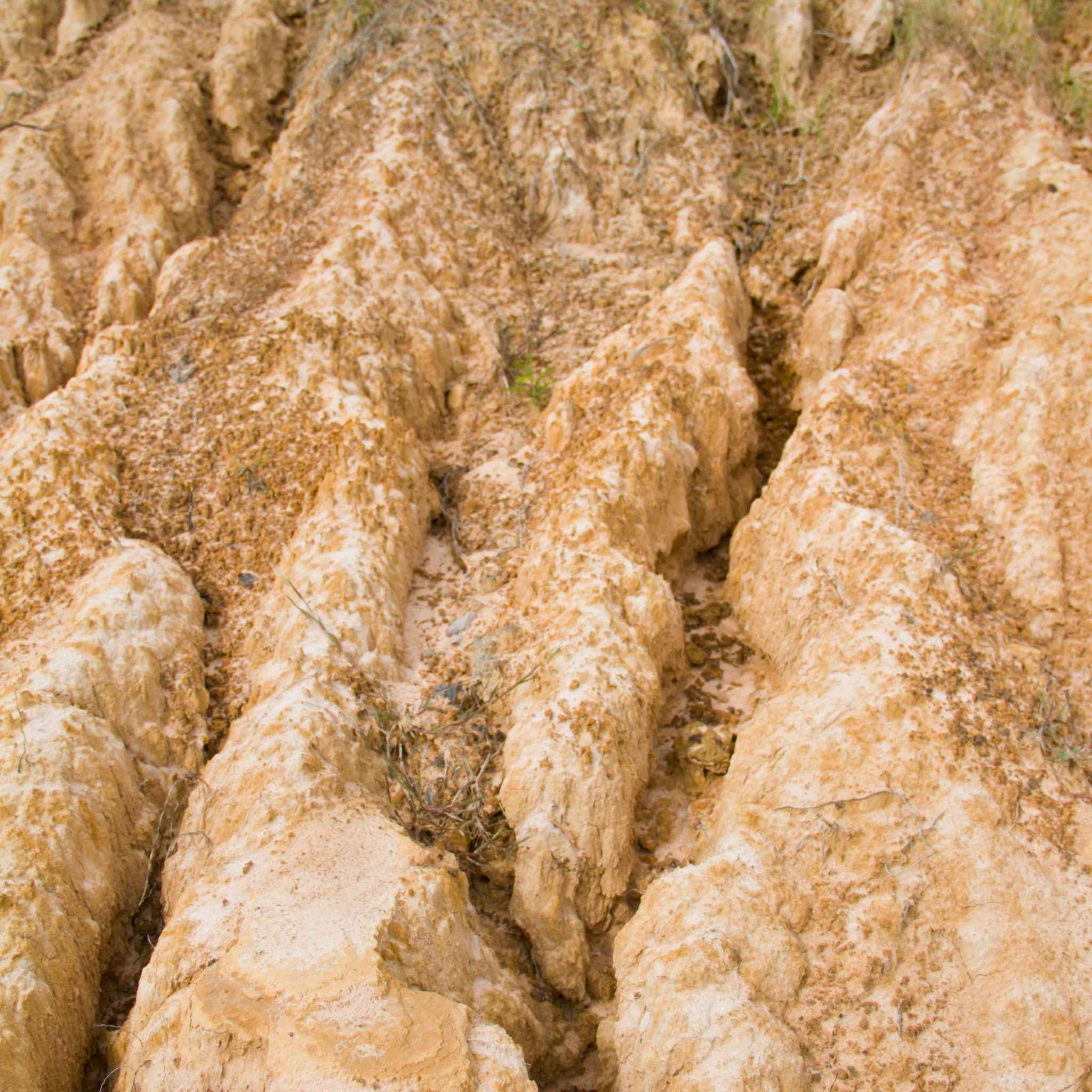 Soluciones para la erosión del suelo enfocadas en conservar la fertilidad y mejorar la sostenibilidad agrícola