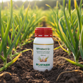BProtect G+ envase 250 ml con logo Biostasia en ambiente de cultivo con ajo y cebolla