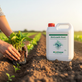 BioGrowth Root de 5 litros en campo de cultivo junto a un trasplante con raíces visibles